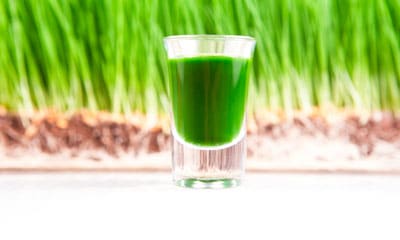 Detox program with freshly squeezed juices - Vital Energy