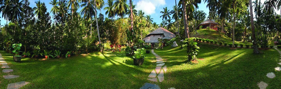 Tropical villas “Tamarind Springs”